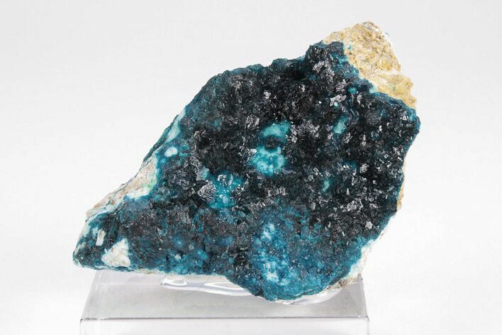 Vibrant Blue Veszelyite Cluster on Hemimorphite - Congo #208067